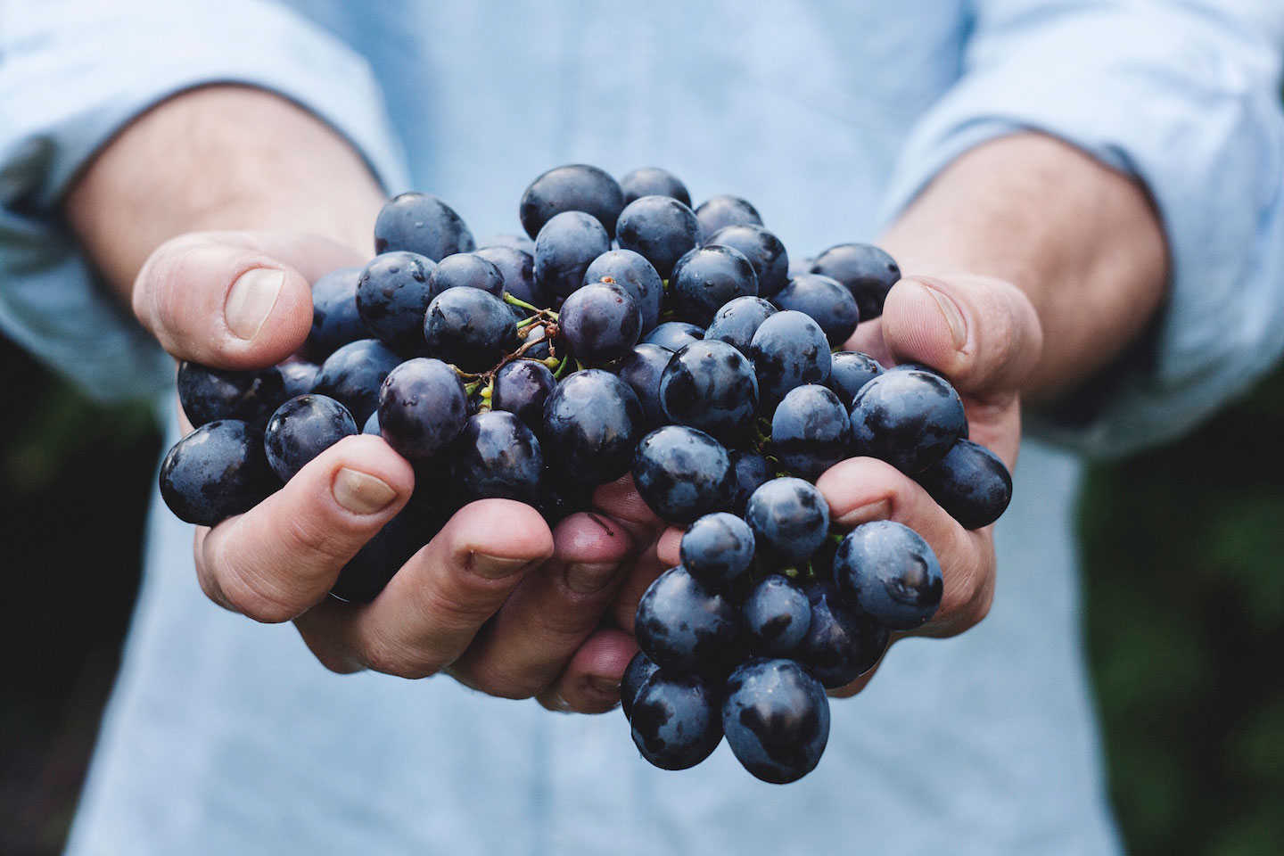 Farm to Table Grapes